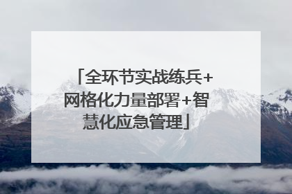 全环节实战练兵+网格化力量部署+智慧化应急管理