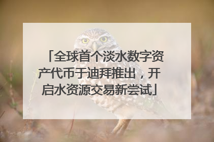全球首个淡水数字资产代币于迪拜推出，开启水资源交易新尝试