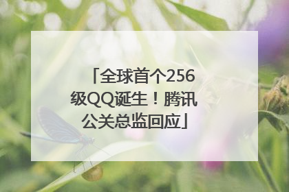 全球首个256级QQ诞生！腾讯公关总监回应