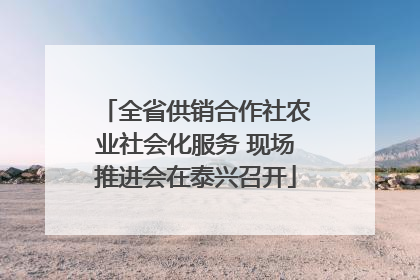 全省供销合作社农业社会化服务 现场推进会在泰兴召开