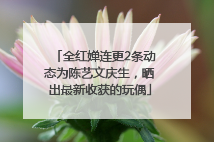 全红婵连更2条动态为陈艺文庆生，晒出最新收获的玩偶