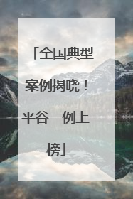 全国典型案例揭晓！平谷一例上榜