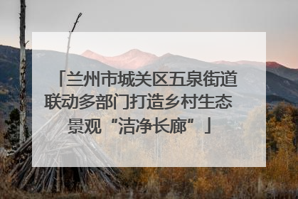 兰州市城关区五泉街道联动多部门打造乡村生态景观“洁净长廊”