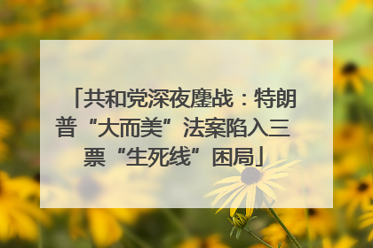 共和党深夜鏖战：特朗普“大而美”法案陷入三票“生死线”困局