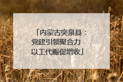 内蒙古突泉县：党建引领聚合力 以工代赈促增收