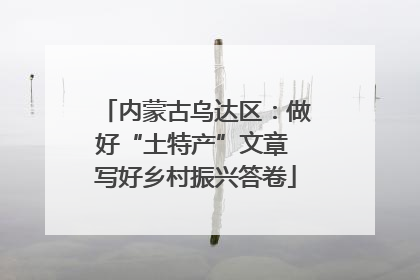内蒙古乌达区：做好“土特产”文章 写好乡村振兴答卷
