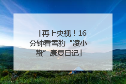 再上央视！16分钟看雪豹“凌小蛰”康复日记