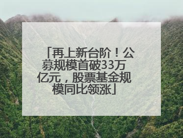 再上新台阶！公募规模首破33万亿元，股票基金规模同比领涨
