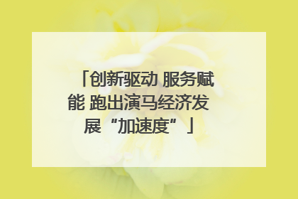 创新驱动 服务赋能 跑出演马经济发展“加速度”