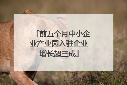 前五个月中小企业产业园入驻企业增长超三成