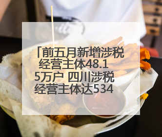 前五月新增涉税经营主体48.15万户 四川涉税经营主体达534.99万户