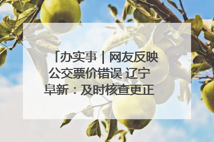 办实事｜网友反映公交票价错误 辽宁阜新：及时核查更正 加强实时巡检