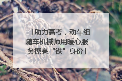 助力高考，动车组随车机械师用暖心服务擦亮“铁”身份