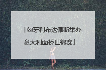 匈牙利布达佩斯举办意大利面桥世锦赛