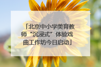 北京中小学美育教师“沉浸式”体验戏曲工作坊今日启动