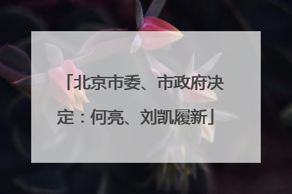 北京市委、市政府决定：何亮、刘凯履新