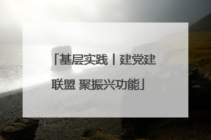 基层实践丨建党建联盟 聚振兴功能