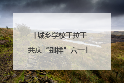 城乡学校手拉手 共庆“别样”六一