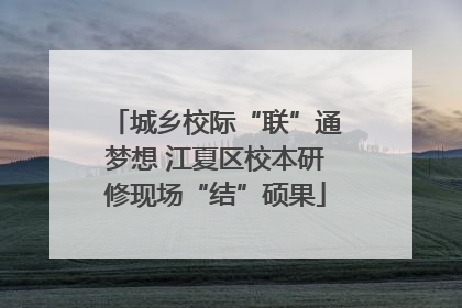 城乡校际“联”通梦想 江夏区校本研修现场“结”硕果