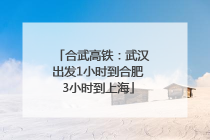 合武高铁：武汉出发1小时到合肥3小时到上海