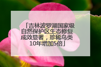 吉林波罗湖国家级自然保护区生态修复成效显著，珍稀鸟类10年增加5倍