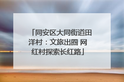 同安区大同街道田洋村：文旅出圈 网红村探索长红路