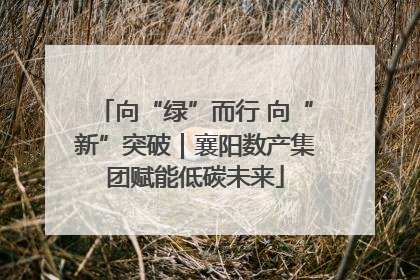 向“绿”而行 向“新”突破｜襄阳数产集团赋能低碳未来
