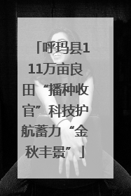 呼玛县111万亩良田“播种收官”科技护航蓄力“金秋丰景”