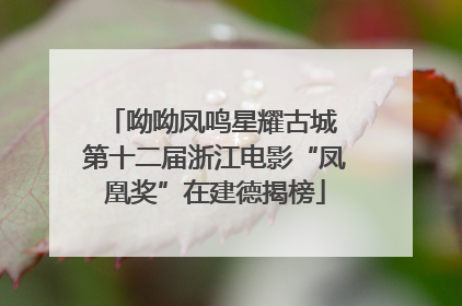呦呦凤鸣星耀古城 第十二届浙江电影“凤凰奖”在建德揭榜