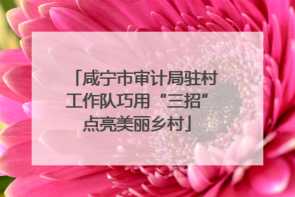 咸宁市审计局驻村工作队巧用“三招”点亮美丽乡村