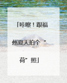 咔嚓！跟福州夏天拍个“荷”照