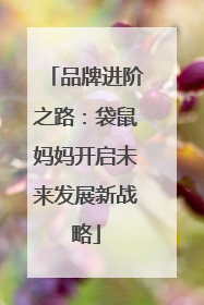 品牌进阶之路：袋鼠妈妈开启未来发展新战略