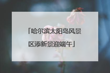 哈尔滨太阳岛风景区添新景迎端午