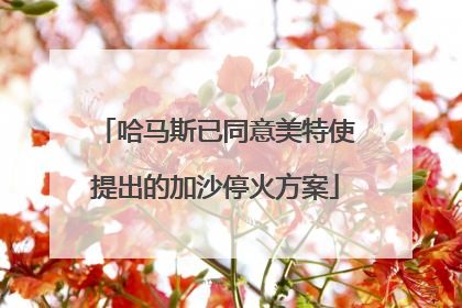 哈马斯已同意美特使提出的加沙停火方案