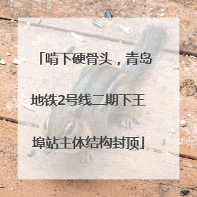 啃下硬骨头，青岛地铁2号线二期下王埠站主体结构封顶