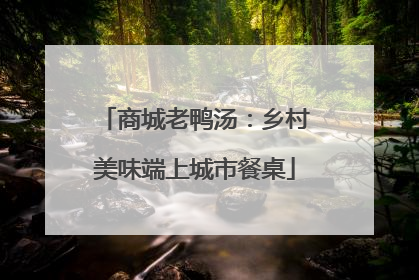 商城老鸭汤：乡村美味端上城市餐桌