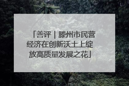 善评｜滕州市民营经济在创新沃土上绽放高质量发展之花