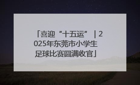 喜迎“十五运”｜2025年东莞市小学生足球比赛圆满收官