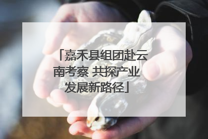 嘉禾县组团赴云南考察 共探产业发展新路径