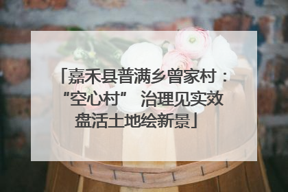 嘉禾县普满乡曾家村：“空心村” 治理见实效 盘活土地绘新景