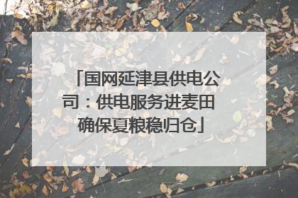 国网延津县供电公司：供电服务进麦田 确保夏粮稳归仓