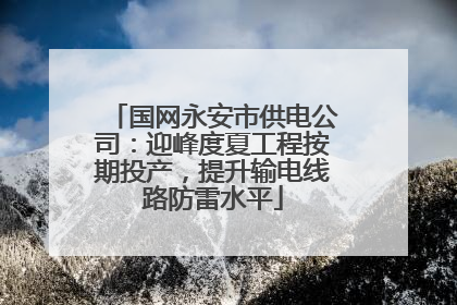 国网永安市供电公司：迎峰度夏工程按期投产，提升输电线路防雷水平