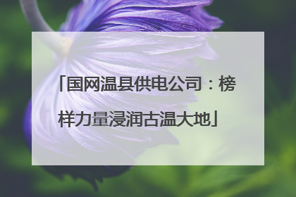国网温县供电公司：榜样力量浸润古温大地