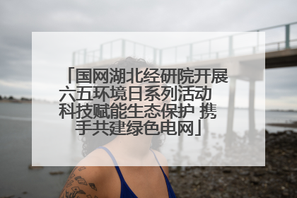 国网湖北经研院开展六五环境日系列活动 科技赋能生态保护 携手共建绿色电网