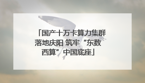 国产十万卡算力集群落地庆阳 筑牢“东数西算”中国底座