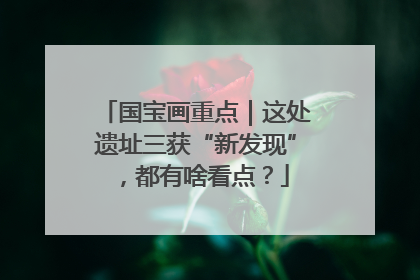 国宝画重点｜这处遗址三获“新发现”，都有啥看点？