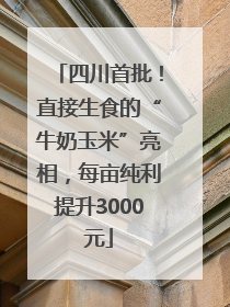 四川首批！直接生食的“牛奶玉米”亮相，每亩纯利提升3000元