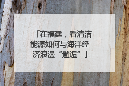 在福建，看清洁能源如何与海洋经济浪漫“邂逅”