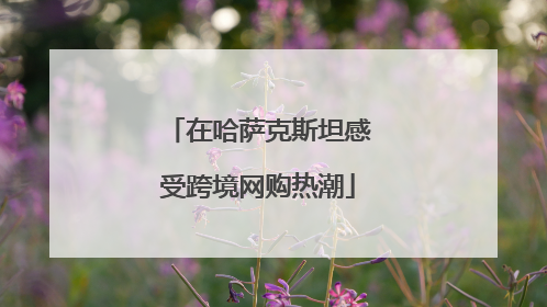 在哈萨克斯坦感受跨境网购热潮