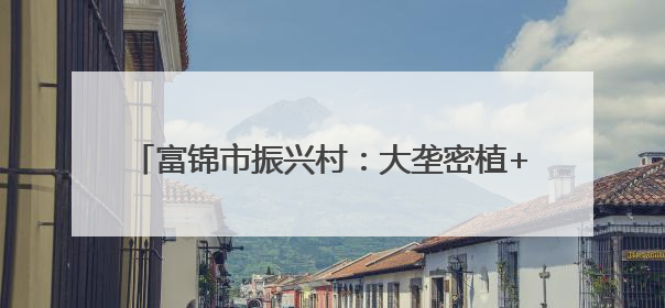 富锦市振兴村：大垄密植+全程托管走出增收新路径